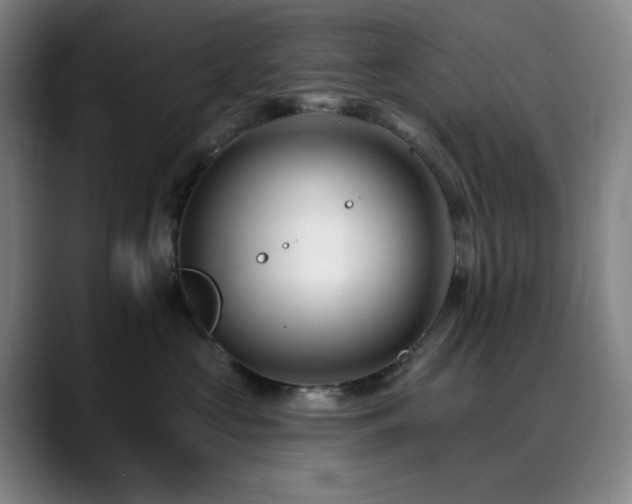 X0000090480573200707131318