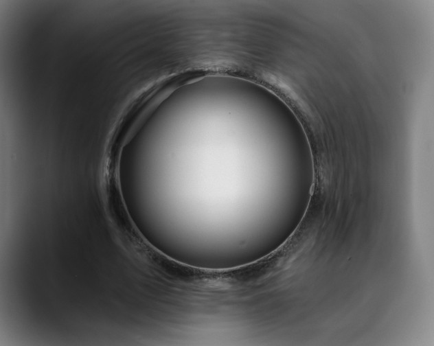 X0000090480583200707131317