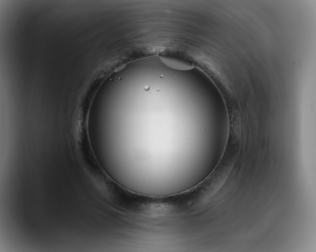 X0000090480590200707131317