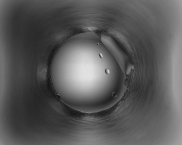 X0000090480596200707131317