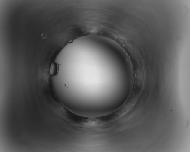 X0000090480612200707131317