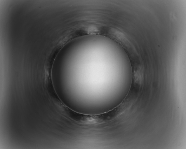 X0000090480618200707131317