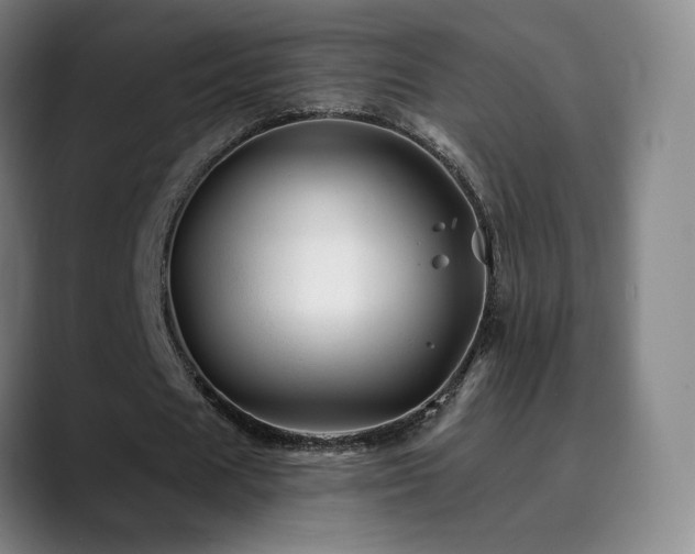X0000090480625200707131316