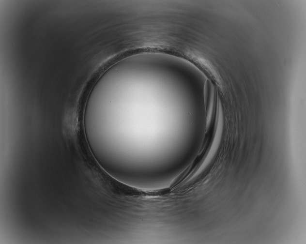 X0000090480628200707131316