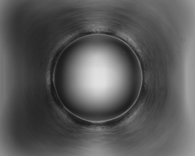 X0000090480629200707131316