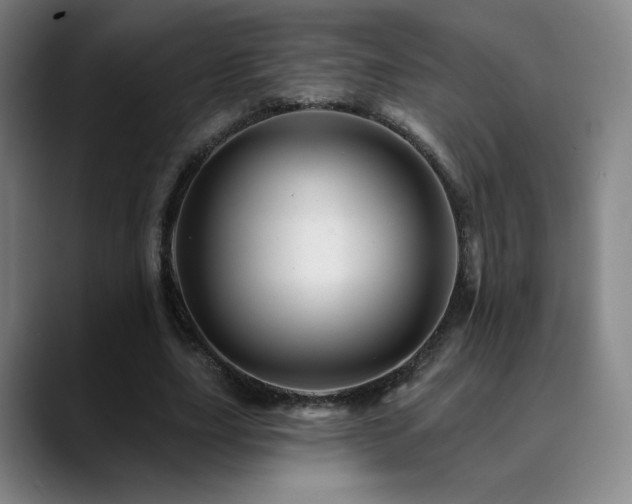 X0000090480631200707131316
