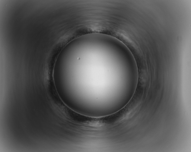 X0000090480639200707131317