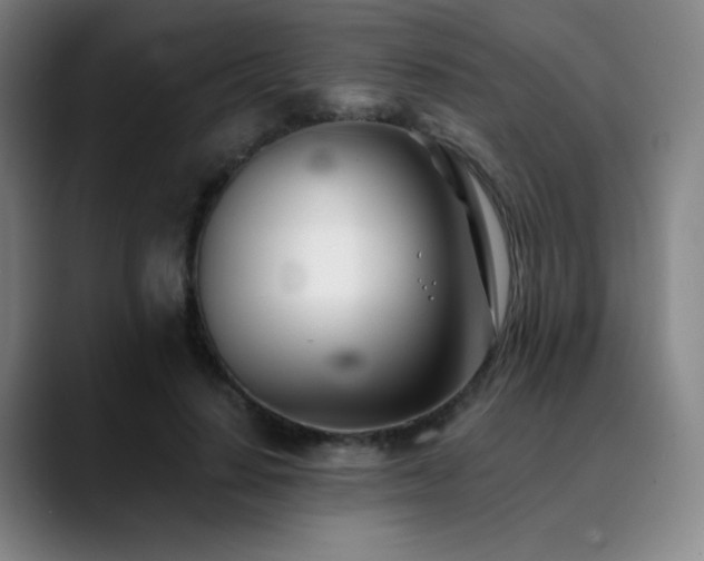 X0000090480644200707131317