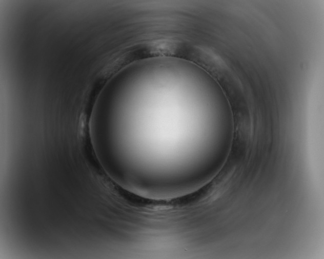 X0000090480649200707131317