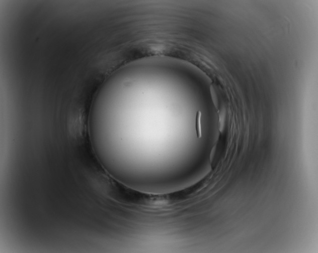 X0000090480651200707131317