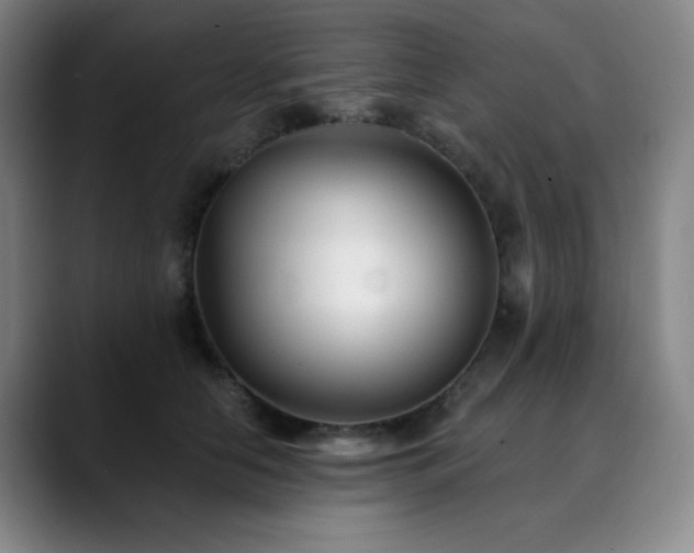 X0000090480658200707131317