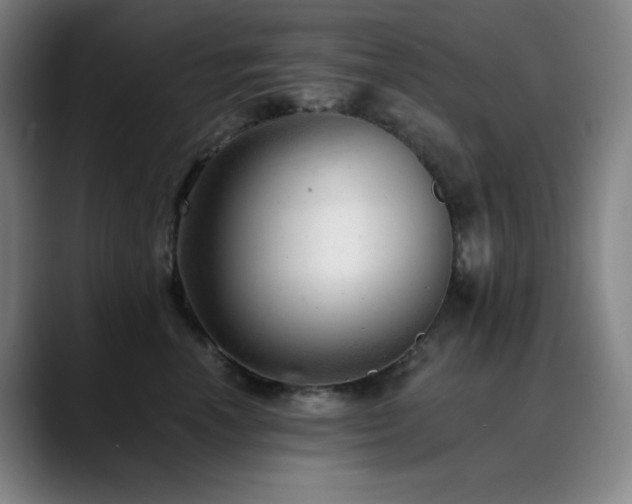 X0000090480666200707131317
