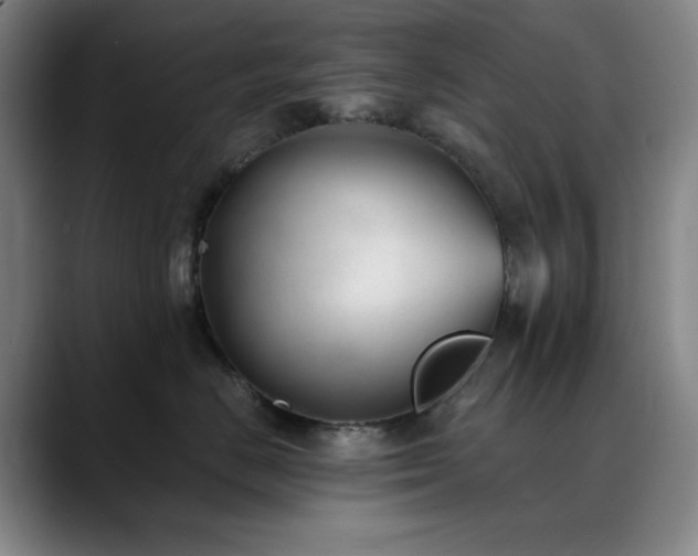 X0000090480670200707131317