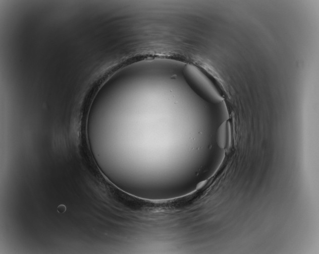 X0000090480679200707131316