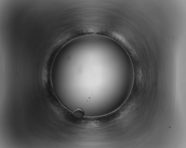 X0000090480683200707131316