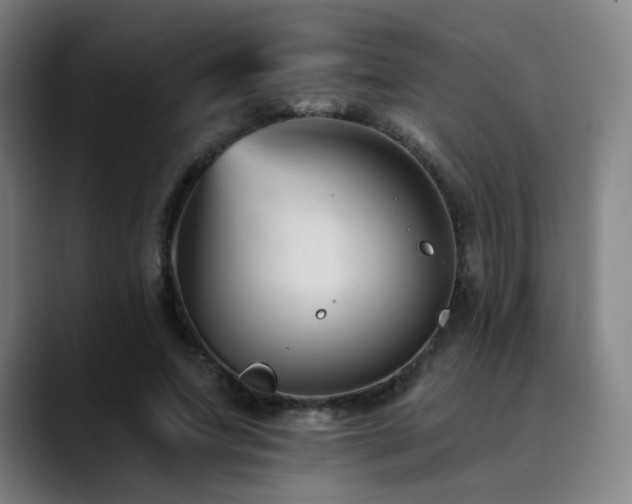 X0000090480687200707131316