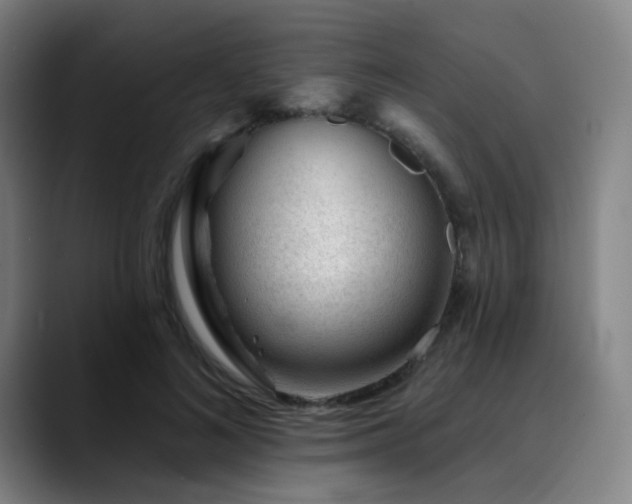 X0000090480692200707131316