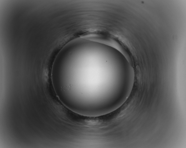X0000090480693200707131316