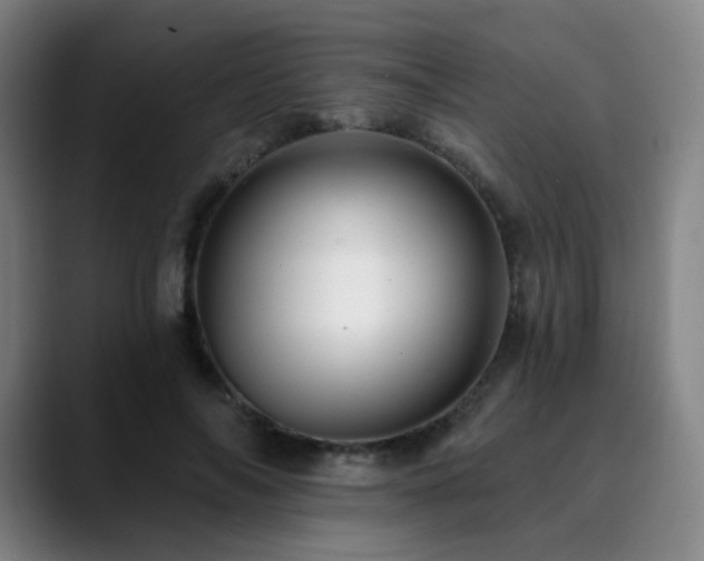 X0000090480694200707131316