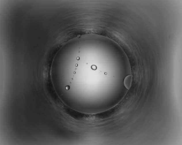 X0000090480695200707131316