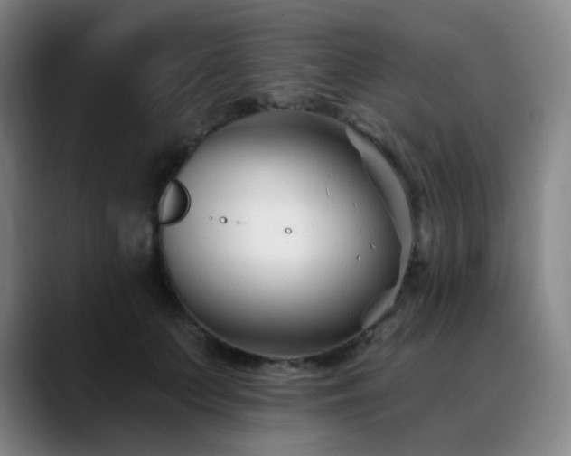 X0000090480703200707131316