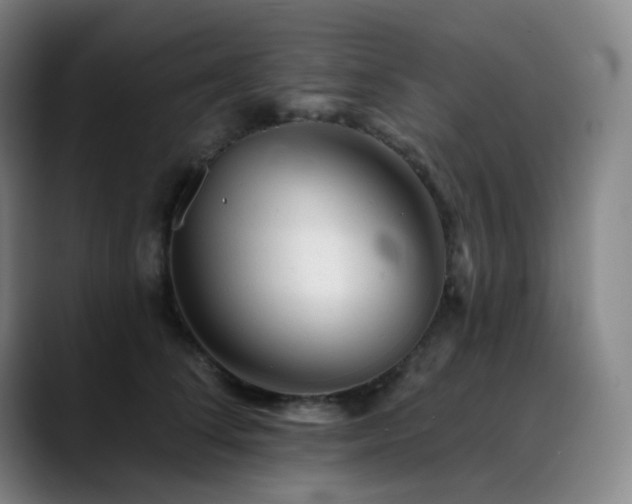 X0000090480708200707131316