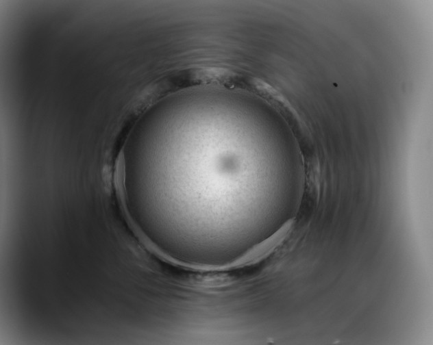 X0000090480716200707131316