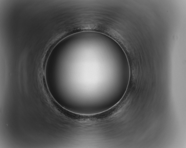 X0000090480721200707131315