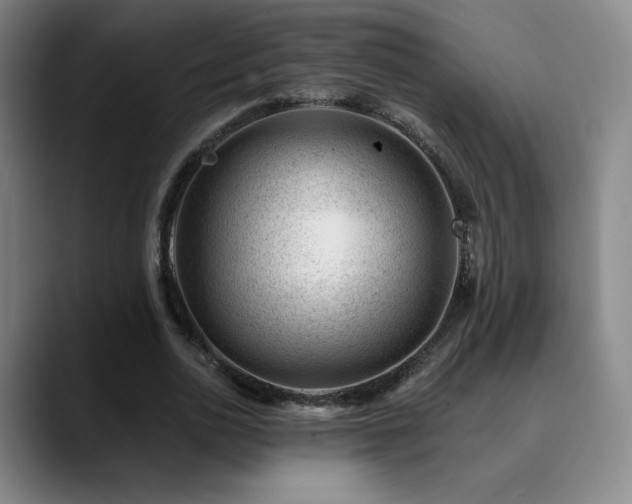 X0000090480726200707131315