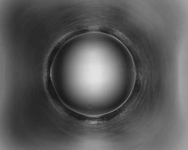 X0000090480728200707131315