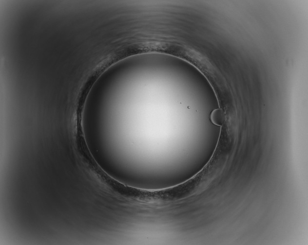 X0000090480729200707131315