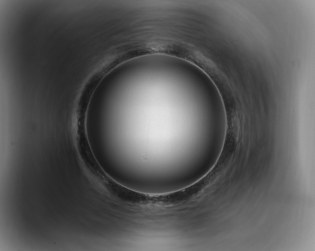 X0000090480730200707131315