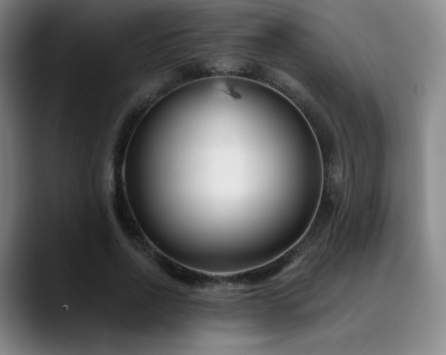 X0000090480734200707131315