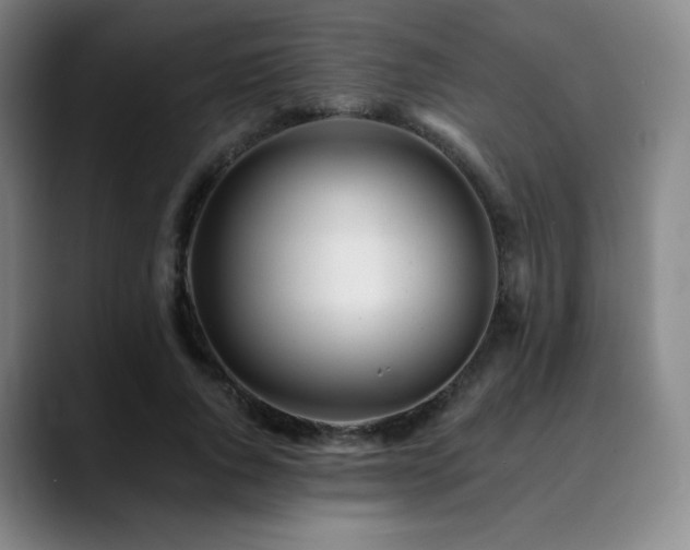 X0000090480736200707131315