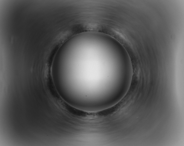 X0000090480744200707131316