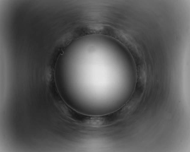 X0000090480758200707131316