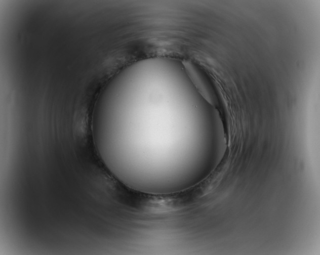 X0000090480760200707131316