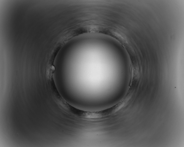 X0000090480766200707131316