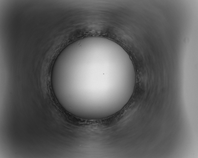 X0000090480769200707131315