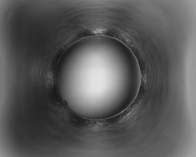 X0000090480772200707131315