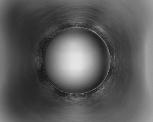 X0000090480774200707131315
