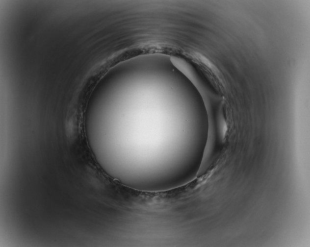 X0000090480775200707131315