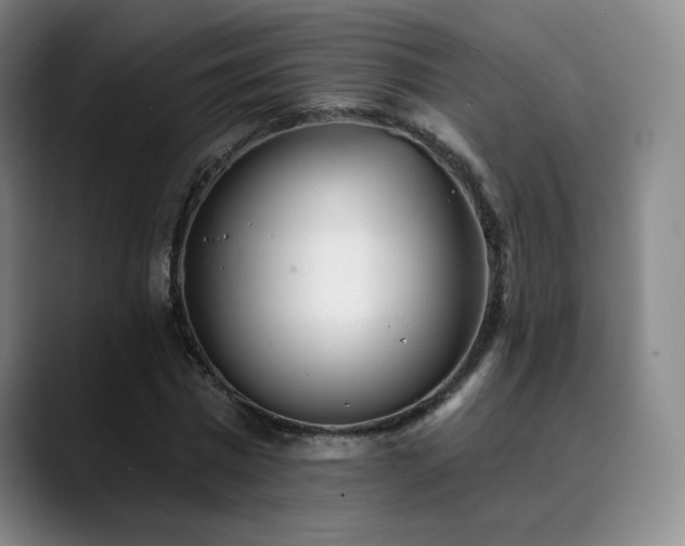 X0000090480777200707131315