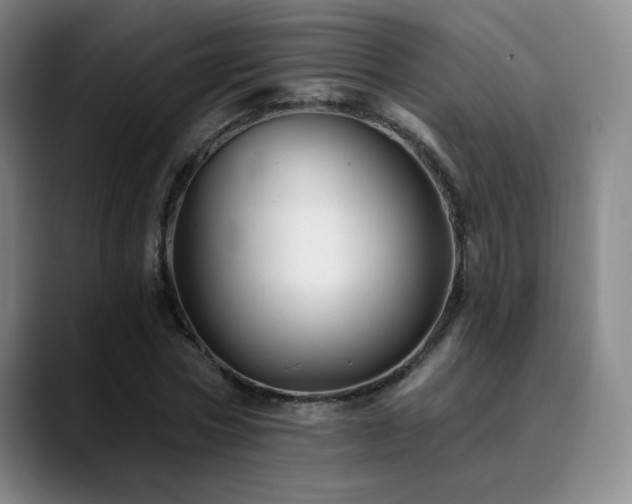 X0000090480778200707131315