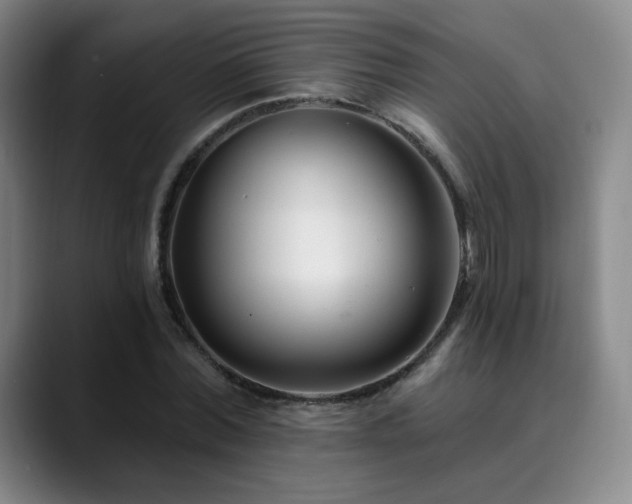 X0000090480780200707131315
