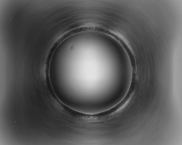 X0000090480783200707131315