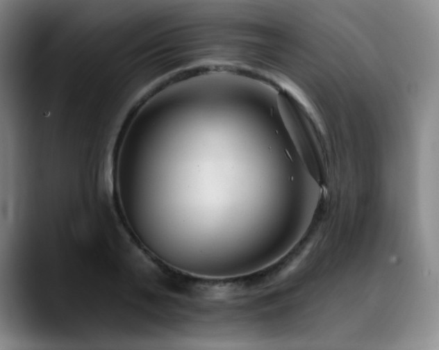 X0000090480791200707131315