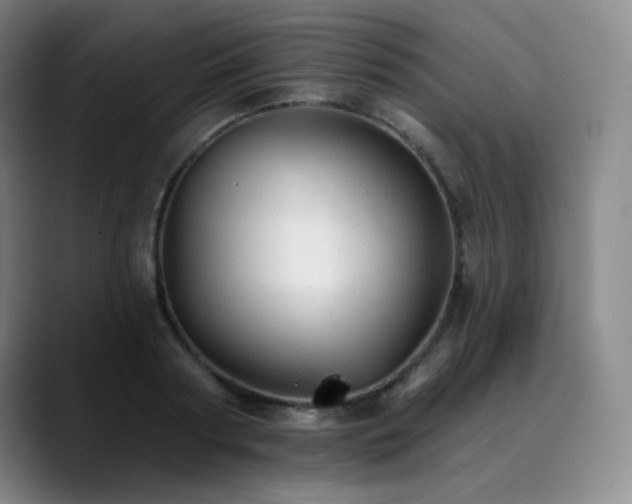 X0000090480794200707131315