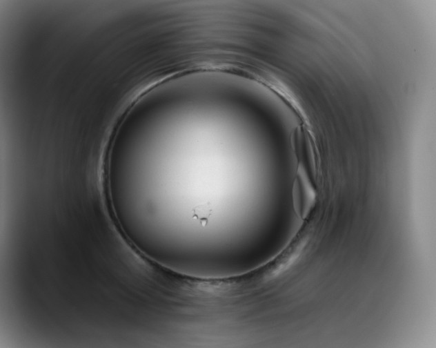 X0000090480803200707131315