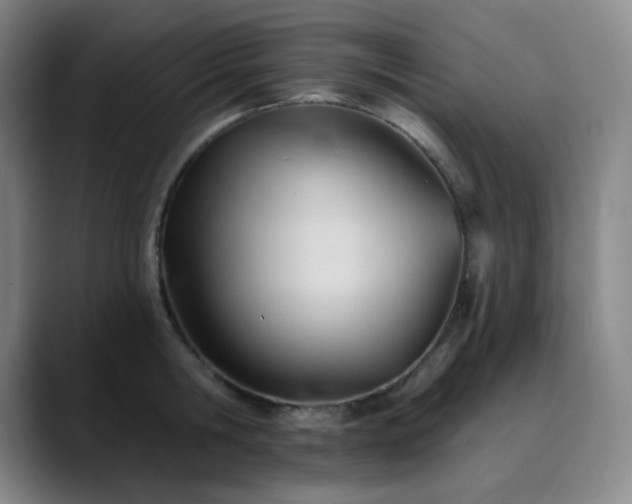 X0000090480806200707131315